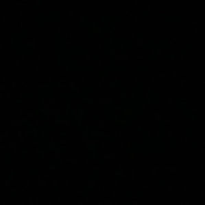 Meet your Posher, Isabella